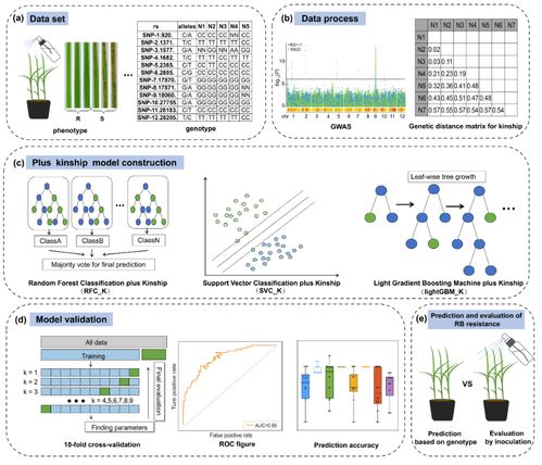 智能育種新突破 AI模型精準篩選抗病種子，數字化技術引領農業革新