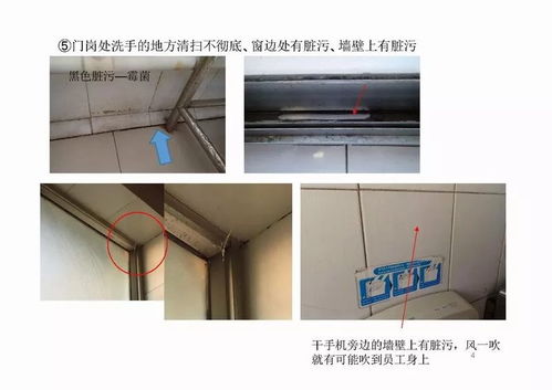 食品企業(yè)工廠監(jiān)查結果