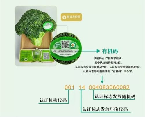 標榜 有機蔬菜 實則并不 有機 上海一餐飲公司被處罰